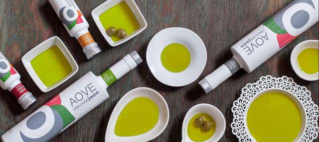 Visita al frantoio Oleícola Jaén con degustazione di olio