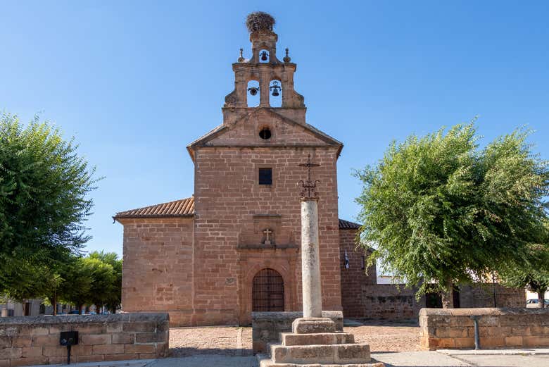 Imagen 6