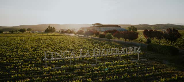 Visita del vigneto della Finca La Emperatriz