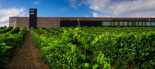 Visita alla cantina Laus