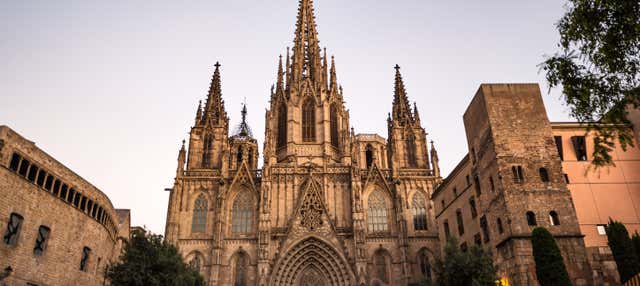 Tour por Montjuïc y Paseo de Gracia