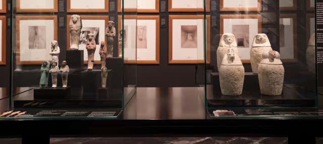 Egyptian Museum of Barcelona Ticket