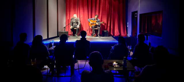 Espectáculo flamenco en Casa Sors + Visita al Museo de la Guitarra