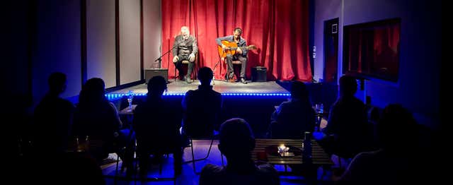 Spectacle de flamenco à Casa Sors + Visite du musée de la guitare