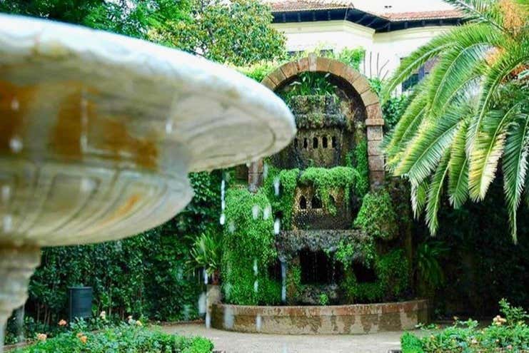 Imagen 5