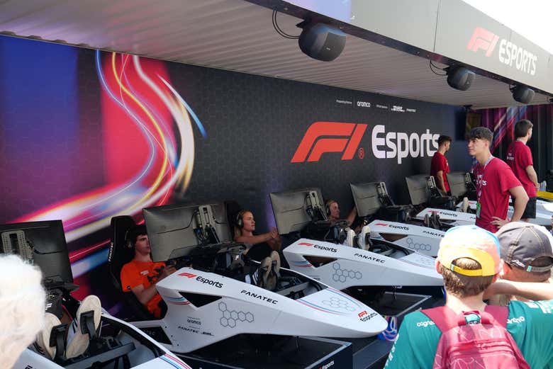 Imagen 8