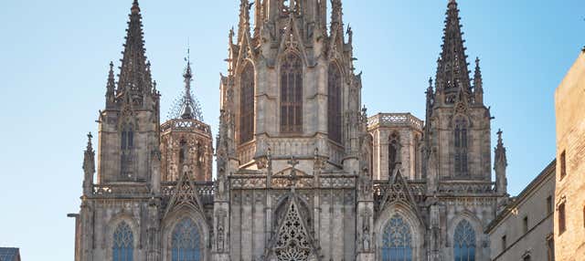 Visita guiada por la Catedral de Barcelona + Acceso a la terraza