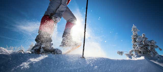 Passeggiata con le racchette da neve a Castro Valnera