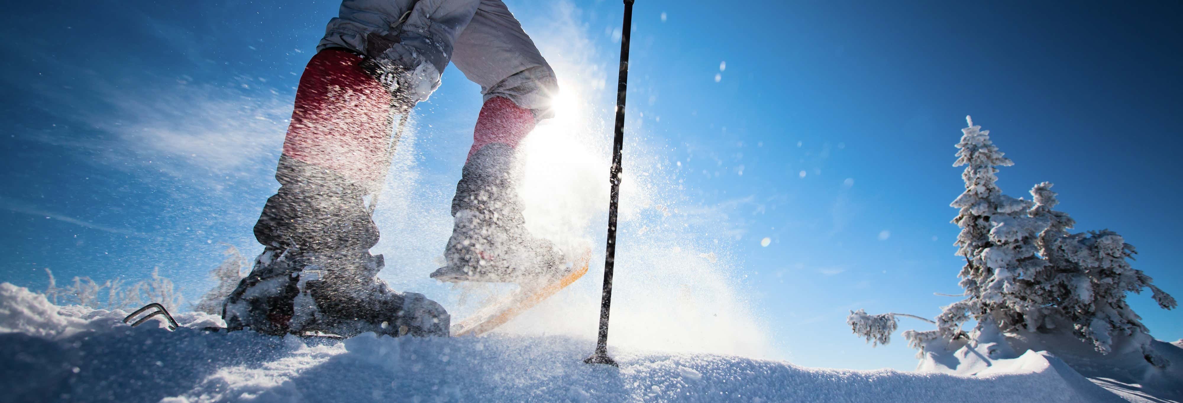 Passeggiata con le racchette da neve a Castro Valnera