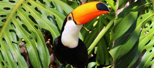 Biglietti per Selwo Marina