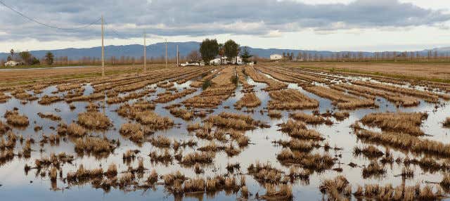 Escursione al Delta dell'Ebro + Giro in catamarano