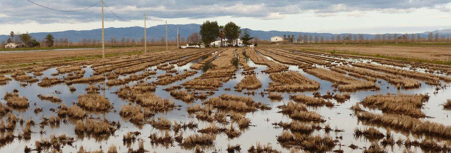 Ebro Delta Day Trip & Catamaran Tour