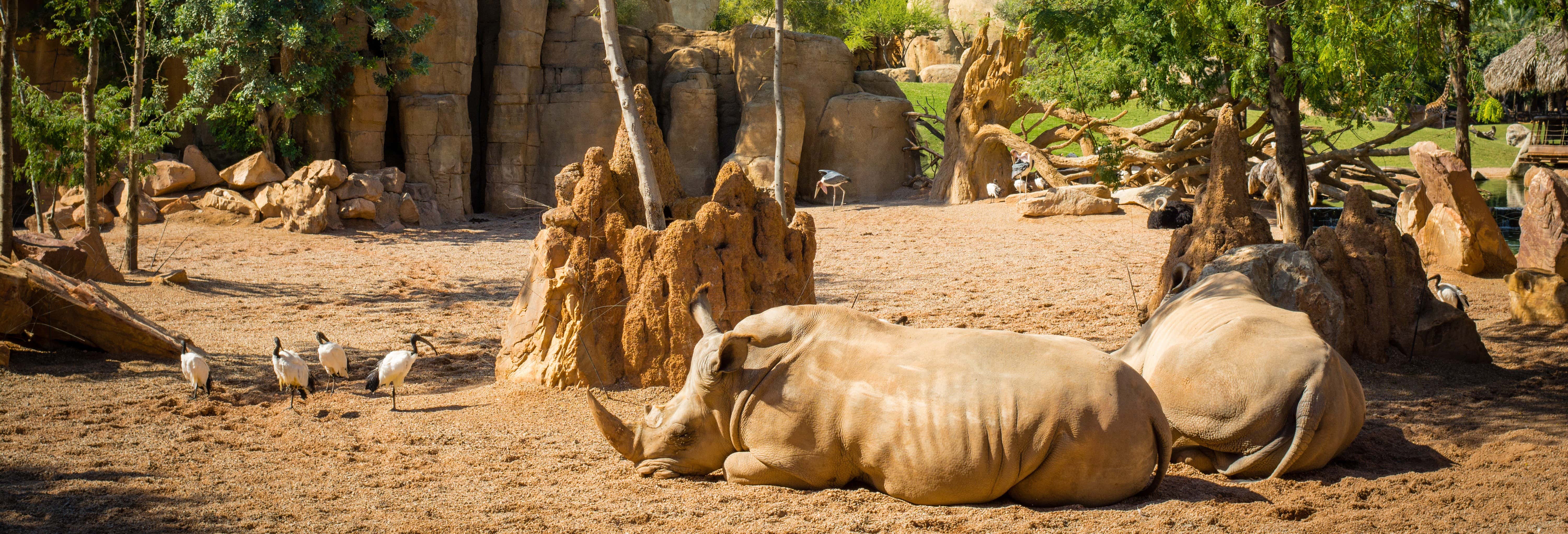 Valencia + Bioparc Day Trip