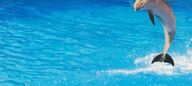 Biglietti per Mundomar