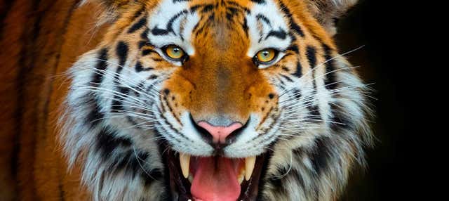 Biglietti per Terra Natura