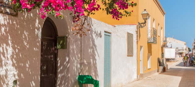 Escursione all'isola di Tabarca e al palmeto di Elche