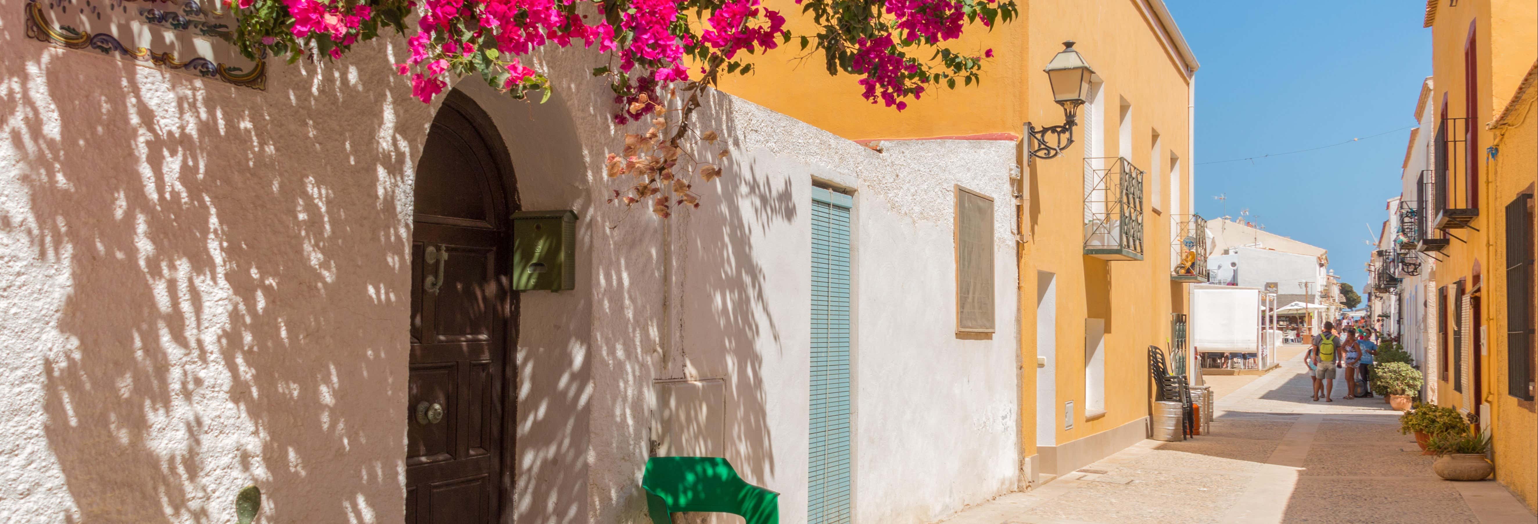 Escursione all'isola di Tabarca e al palmeto di Elche