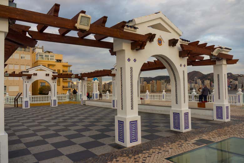 Imagen 7