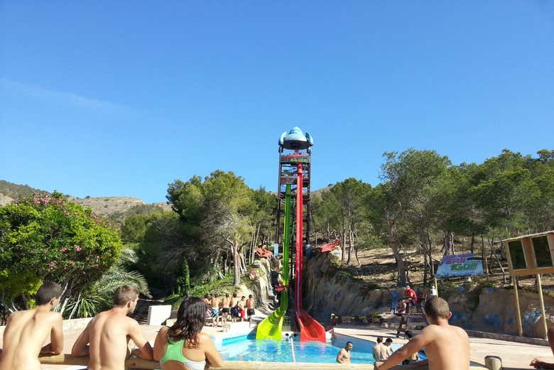 Imagen 4
