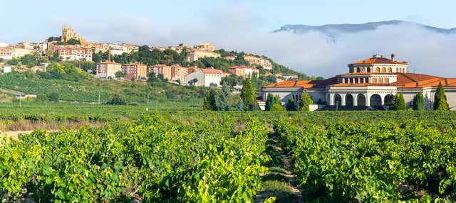 Escursione a Laguardia e Haro con visita a due cantine