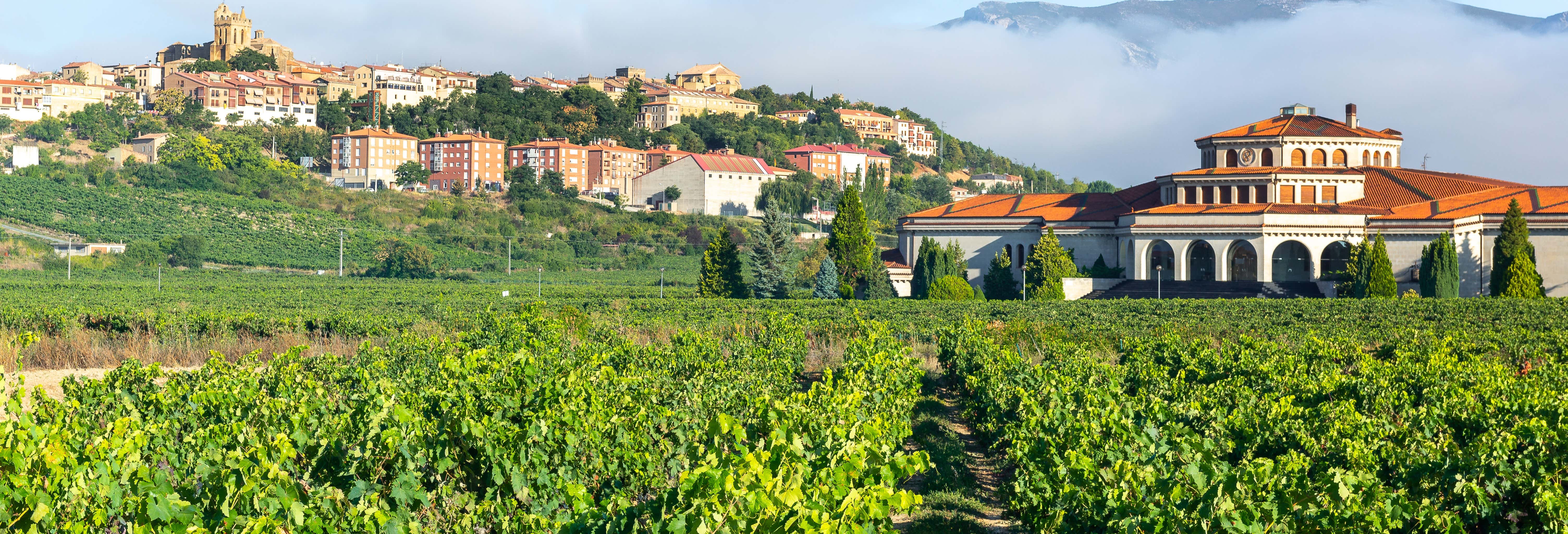 Laguardia and Haro Trip + 2 Wineries