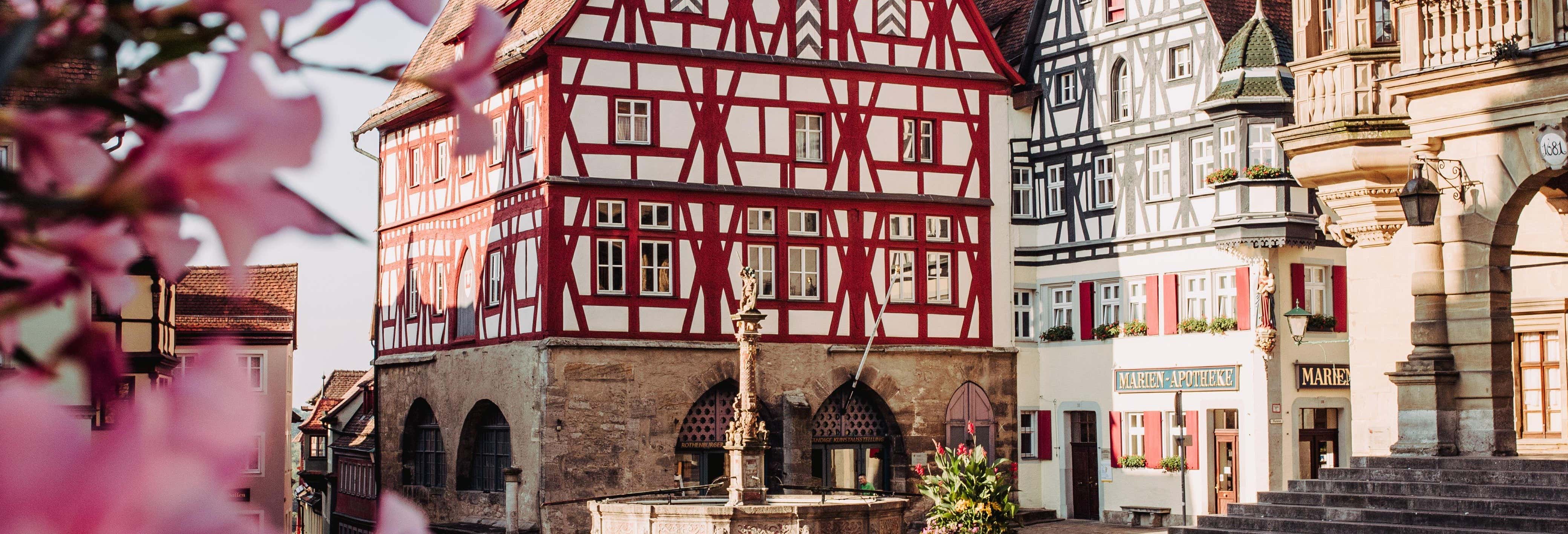 Escursione ai borghi dei Pirenei Atlantici