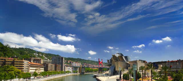 Tour privato del Guggenheim di Bilbao