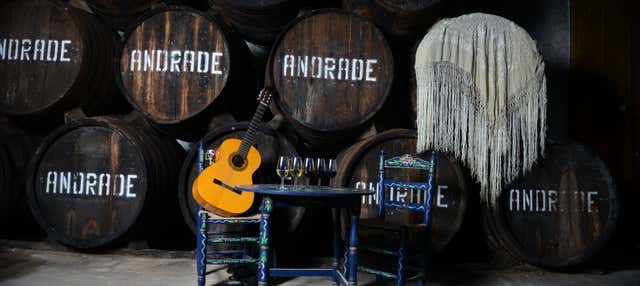 Visita delle Cantine Andrade