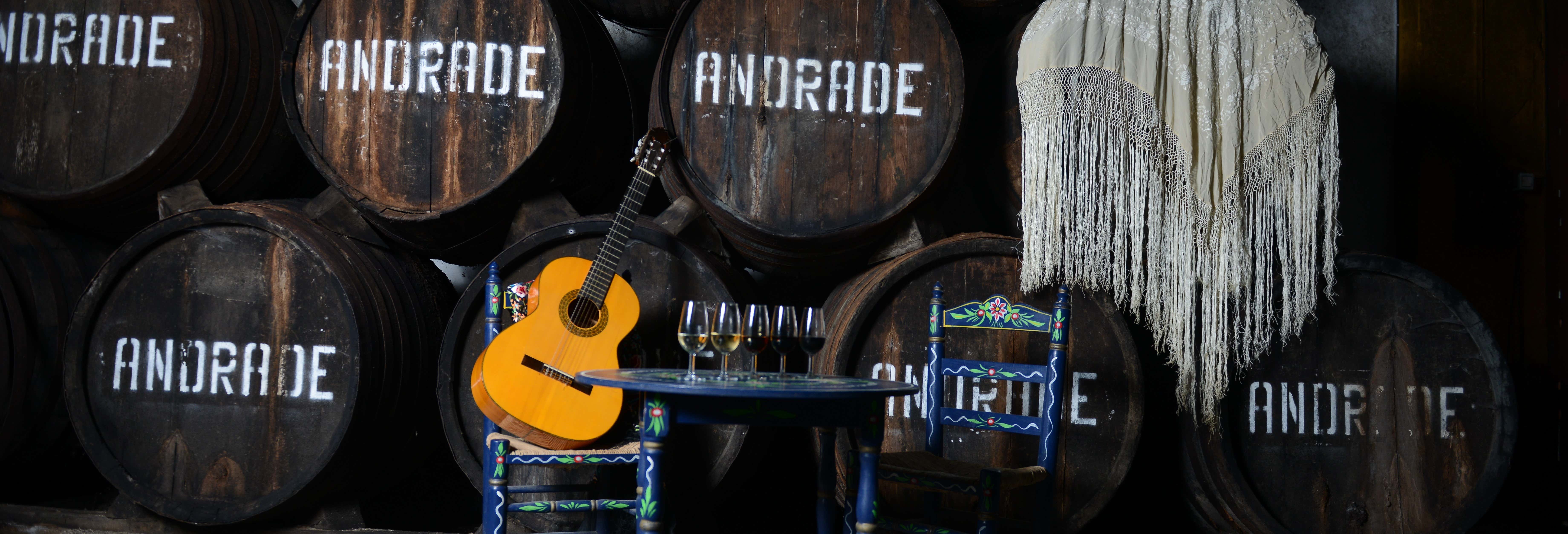 Visita delle Cantine Andrade