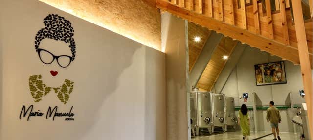 Visita alla cantina María Manuela