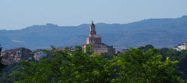 Visita guidata di Les Borges Blanques