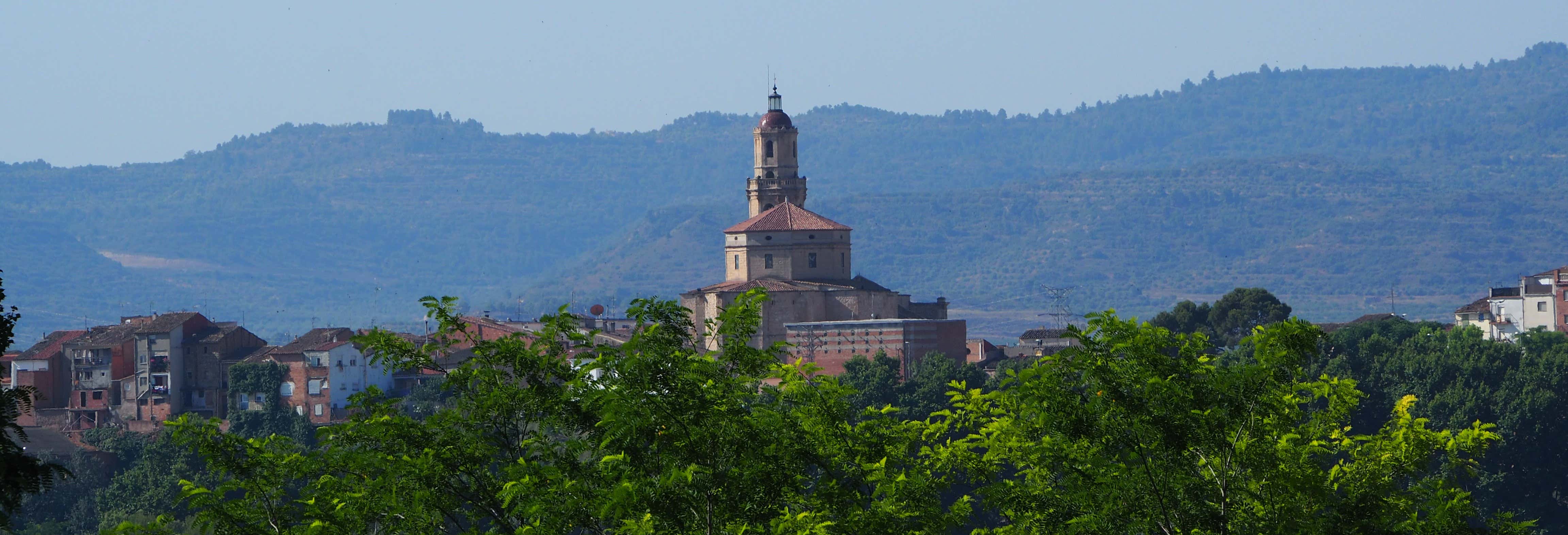 Borjas Blancas Guided Visit