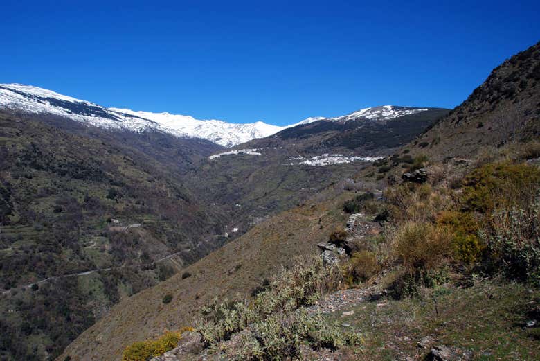 Imagen 6