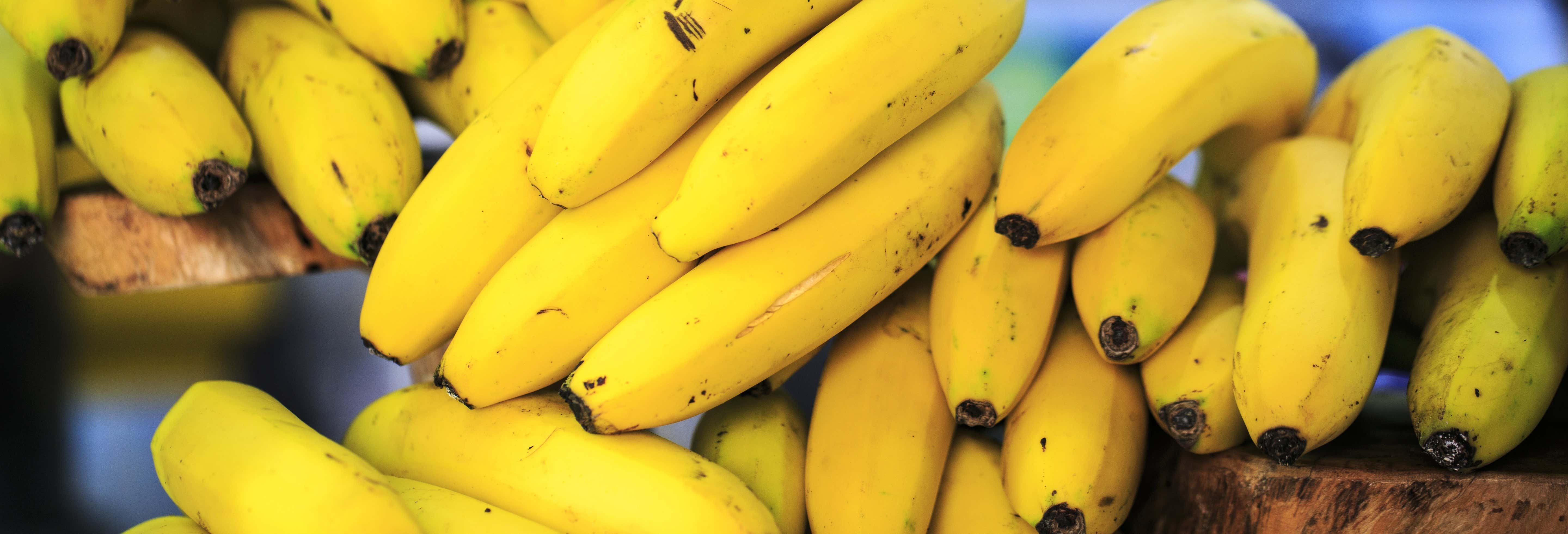 Banana Farm Free Tour