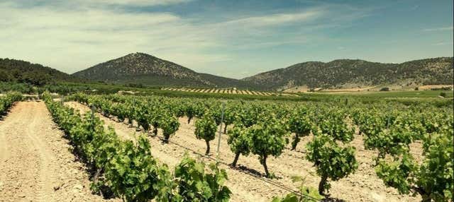 Visita alla cantina Balcona