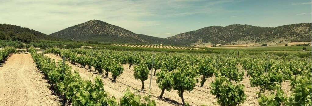 Visita alla cantina Balcona