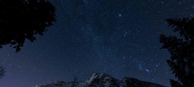 Osservazione di stelle nel bosco vettoniano di Cabezabellosa