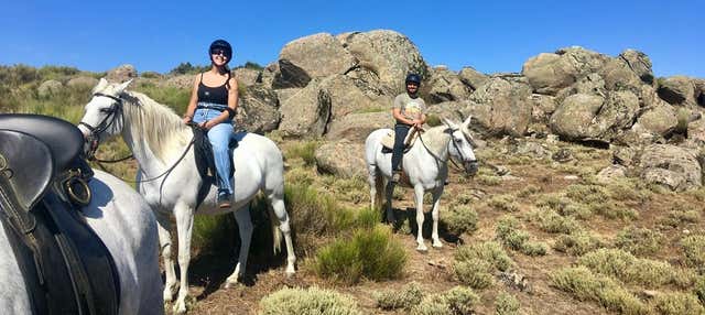 Passeggiata a cavallo nel bosco vettoniano di Cabezabellosa