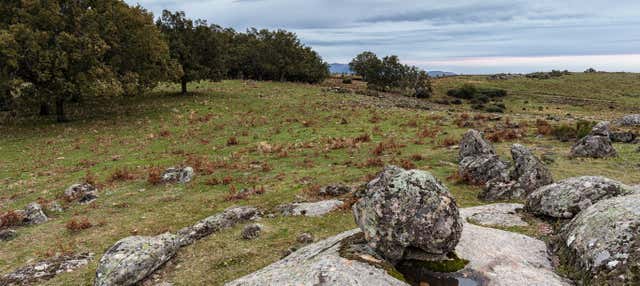 Trekking nel bosco vettoniano di Cabezabellosa