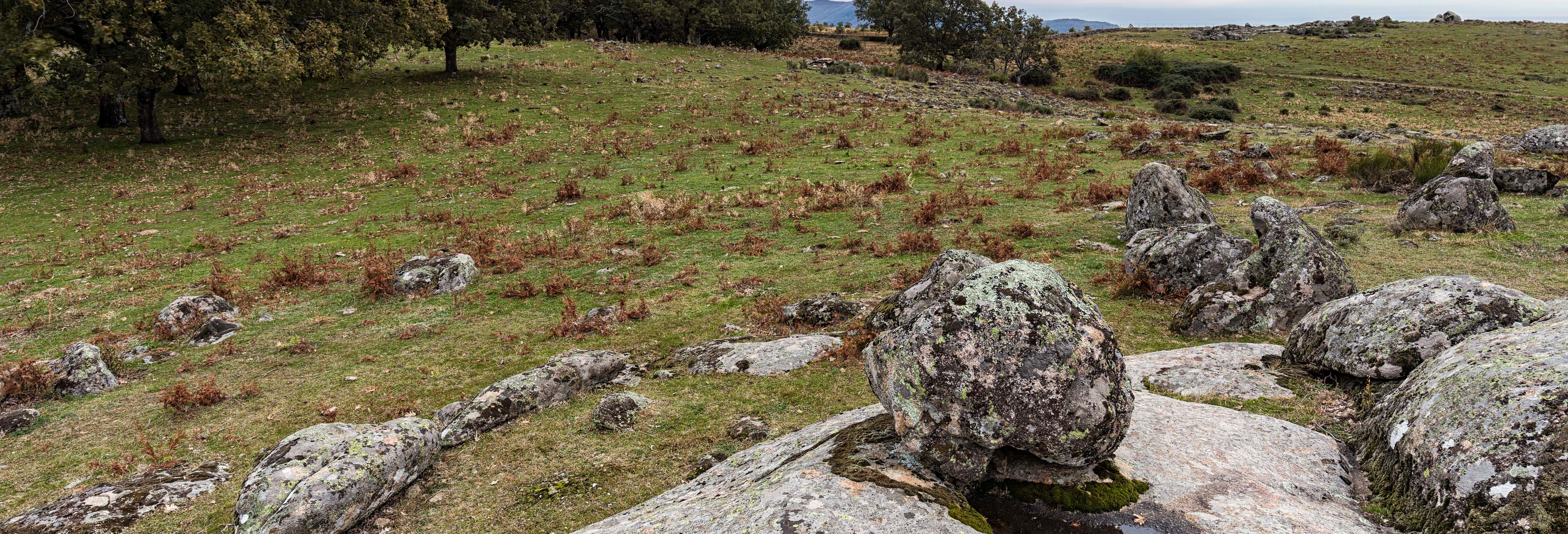 Vettón Forest of Cabezabellosa Hike