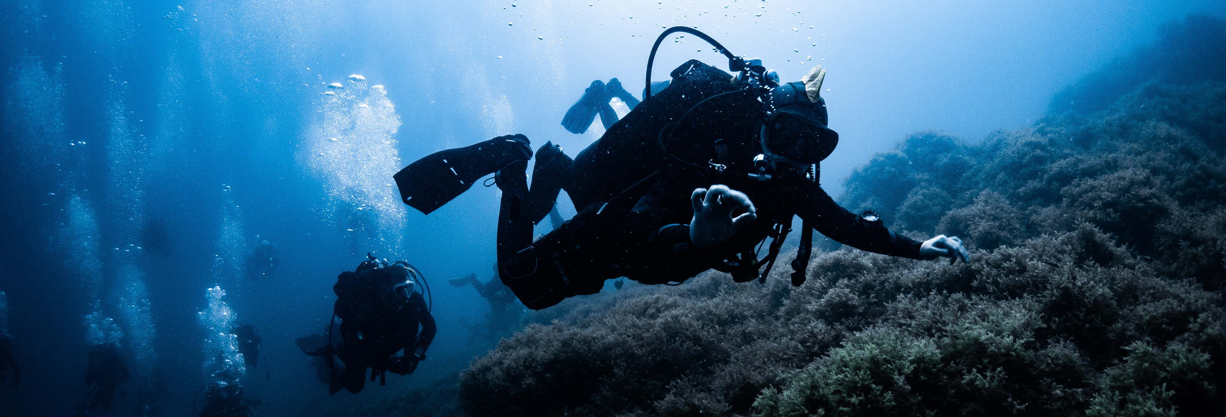 Diving in Cabo de Palos