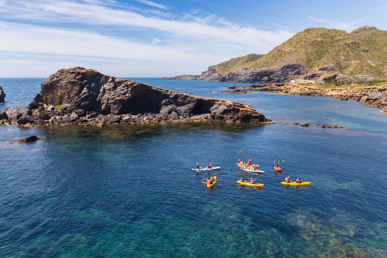 Imagen 12