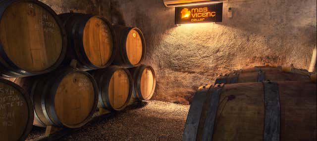 Visita alle cantine Mas Vicenç