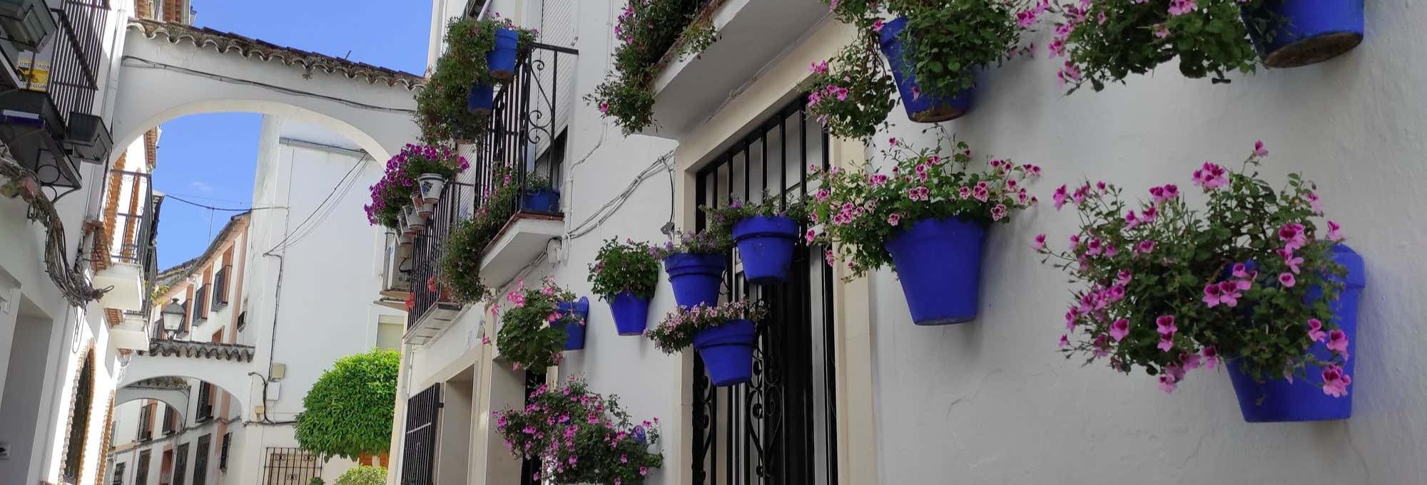 Tour privado por Cabra ¡Tú eliges!