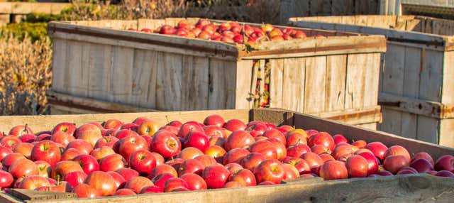Visita alla fabbrica di sidro Sidra JR