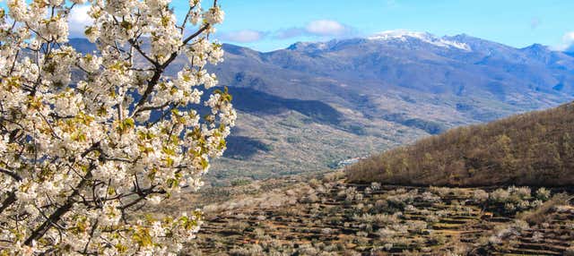 Escursione alla Valle del Jerte