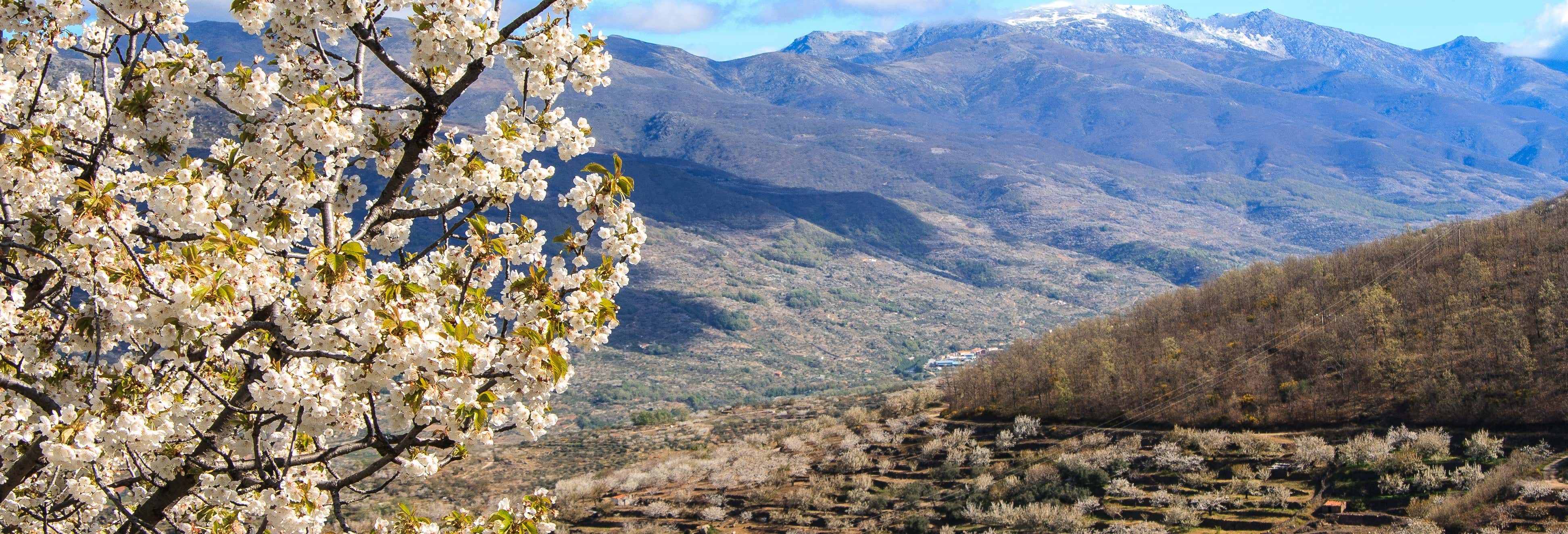Escursione alla Valle del Jerte