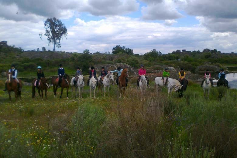 Imagen 5