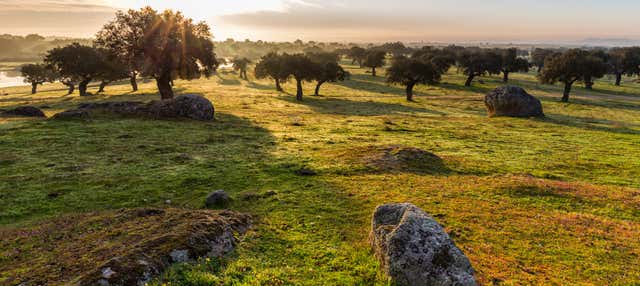 Tour in 4x4 per la prateria di Cáceres