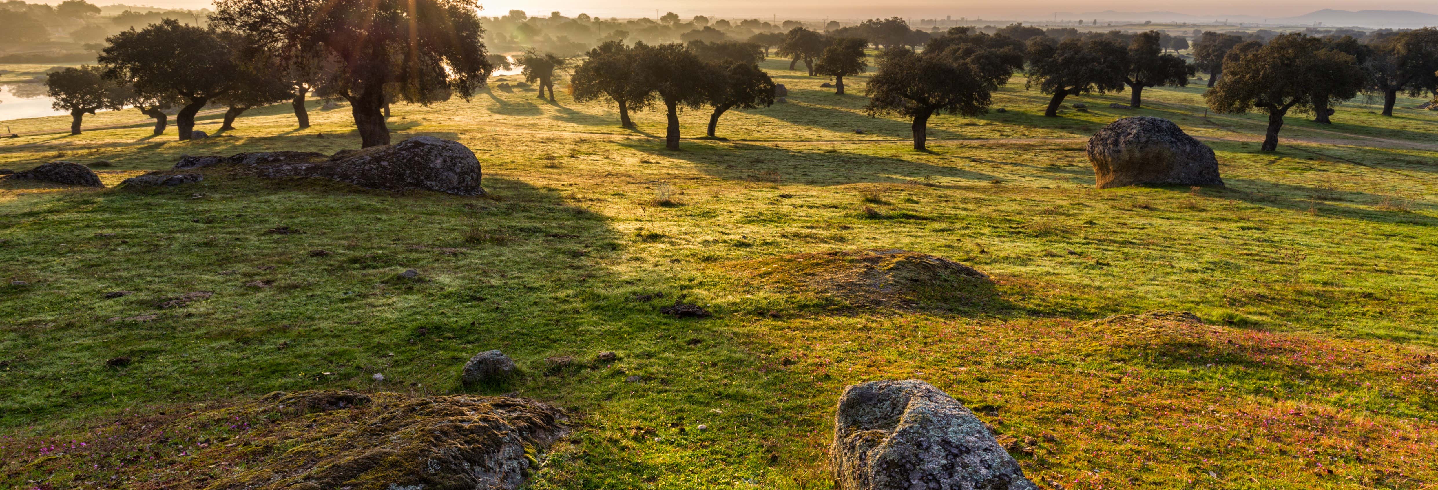 Tour in 4x4 per la prateria di Cáceres